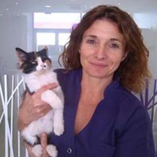 Clinique Vétérinaire PK3 : Dr. Muriel CAMBON à Cholet dans le Maine-et-Loire (49)