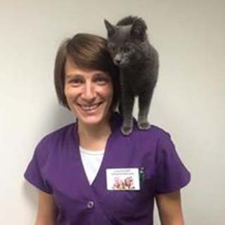 Clinique Vétérinaire PK3 : Lucie AUVINET à Cholet dans le Maine-et-Loire (49)